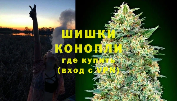 ешки Бронницы