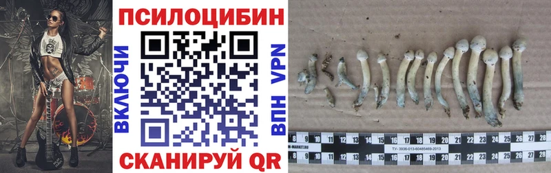 Псилоцибиновые грибы Magic Shrooms  kraken ССЫЛКА  Тихвин 